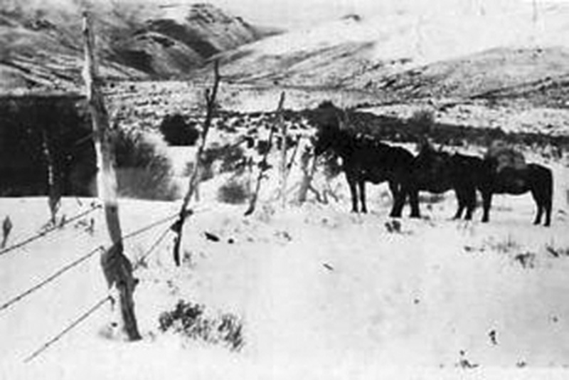 i\Rawlins-cabin-looking-down-Squaw-Creek